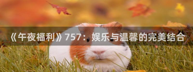 策驰影院免费观影在线观看星空影院