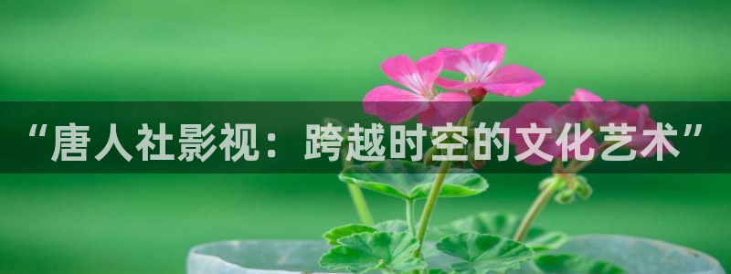 星空影院今日影讯